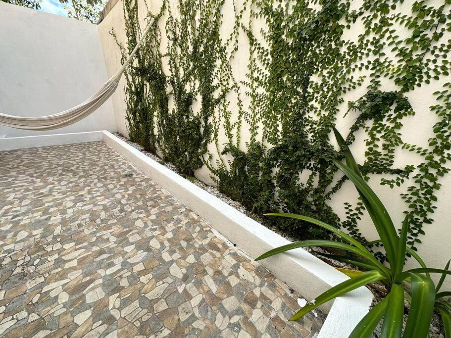 Apartamento Depa Xcacel,